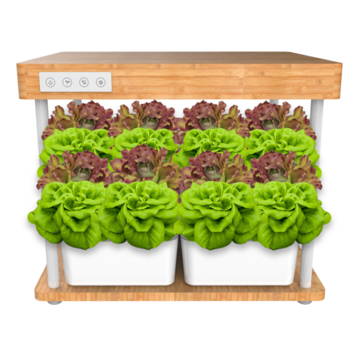 Smart Garden - Indendørs køkkenhave u
