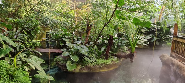 Odense ZOO - jungle