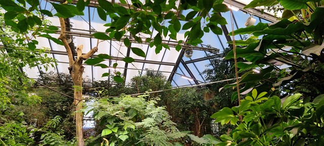Odense ZOO