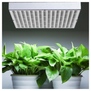Vækst lys LED firkantet pendel 40W 60° IP20