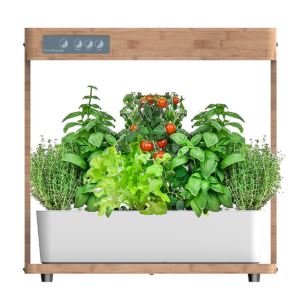 Full spectrum 20-watt LED lighting system