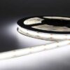 LED strip i COB | Hvidt lys 6500K | 10Watt/m