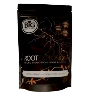 Root Explosion Big Plant Science
