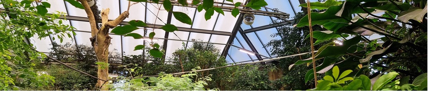 Måling af PPFD og lysbehov for planter