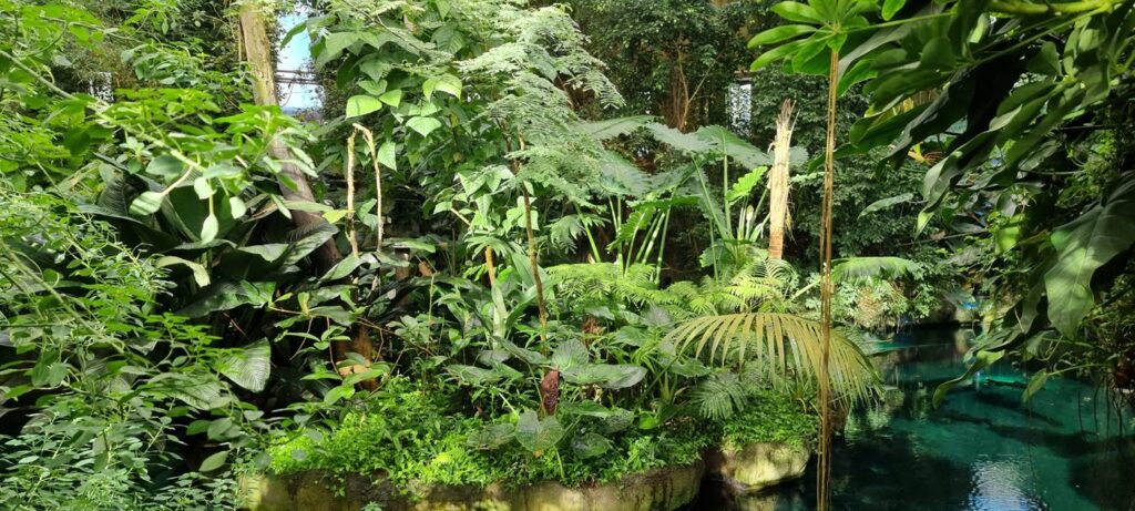 Odense ZOO