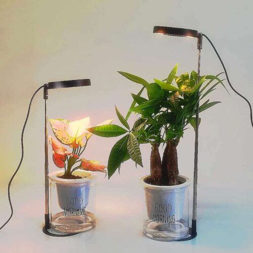 Vækstlysd lampe - Sort fuldspektrum
