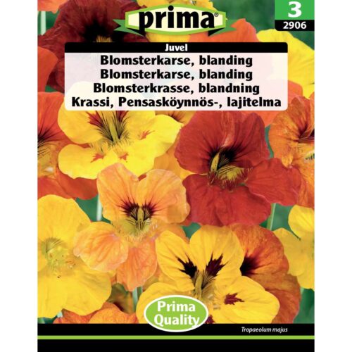 Blomsterkarse, blanding Juvel frø