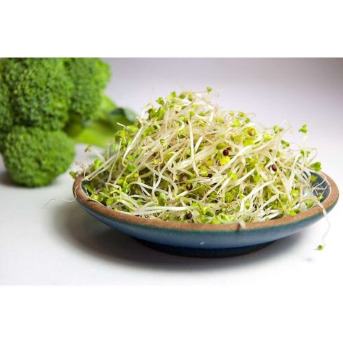 Broccoli Raab - Organic seeds