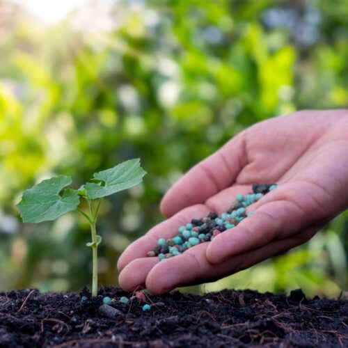 Big Plant Science A+B Flydende Gødning tilbud