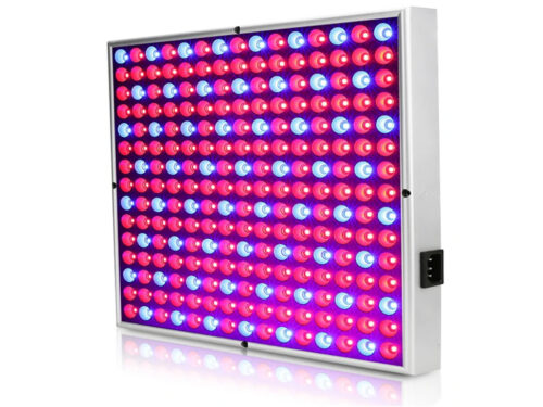 LED Vækstlys - højt ydende vækstlys panel for planter
