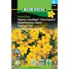 Tagetes, Smalfliget- Citronagetes