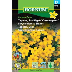 Tagetes, Smalfliget- Citrontagetes, 1140