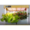 Smart Garden - Indendørs køkkenhave u