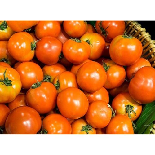 Kirsebærtomat frø - Orange Venus