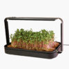 microgreen-garden--start-saet-for-sundt-mikrogroent-dyrkning