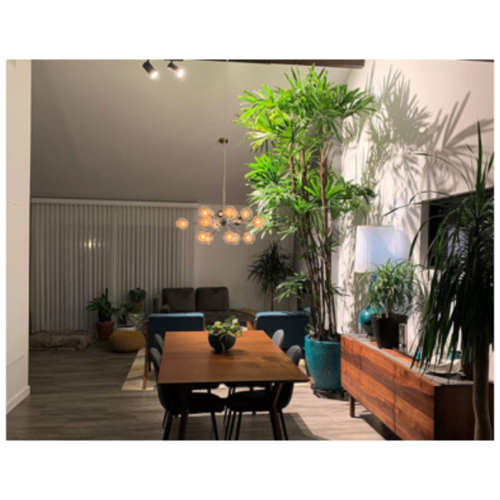 Grolys lampe til skinne og som loftspot 40Watt