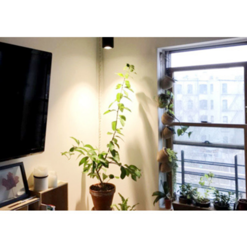 Grolys lampe til skinne og som loftspot 40Watt