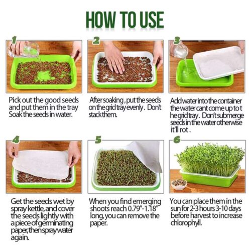 Spirebakke sæt til dyrke mikrogrønt Grøn