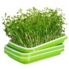 Spirebakke sæt til dyrke mikrogrønt Grøn