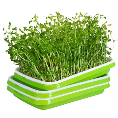 Spirebakke sæt til dyrke mikrogrønt Grøn