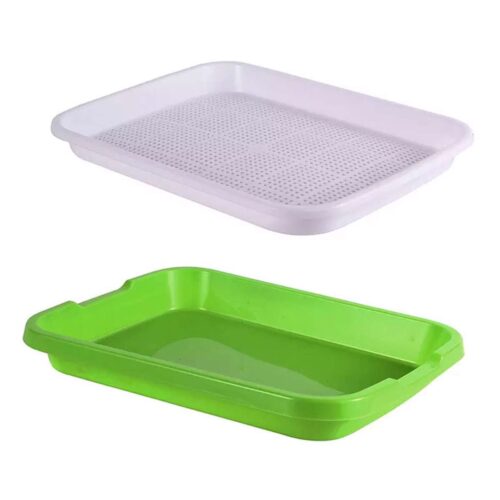 Spirebakke sæt til dyrke mikrogrønt Grøn