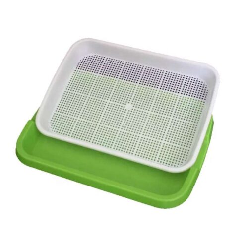 Spirebakke sæt til dyrke mikrogrønt Grøn