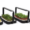 microgreen-garden--start-saet-for-sundt-mikrogroent-dyrkning
