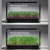 microgreen-garden--start-saet-for-sundt-mikrogroent-dyrkning