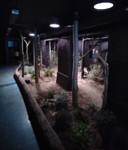 København Zoo - natzoo