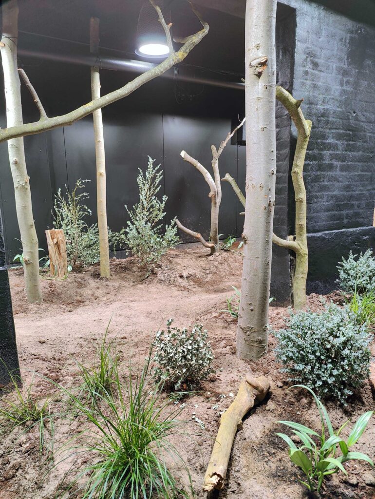 København Zoo belysning