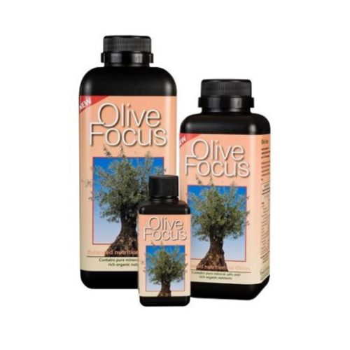 Olive Focus gødning