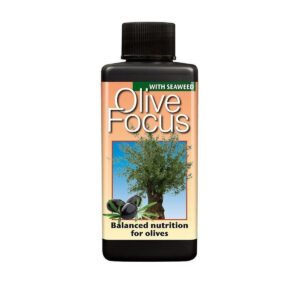 Olive Focus gødning 1L