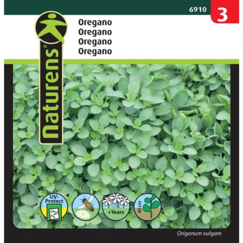 Oregano vild merian