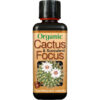 Organic Cactus & Succulent Focus