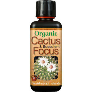 Organic Cactus & Succulent Focus