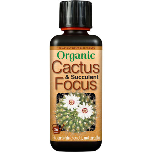 Organic Cactus & Succulent Focus