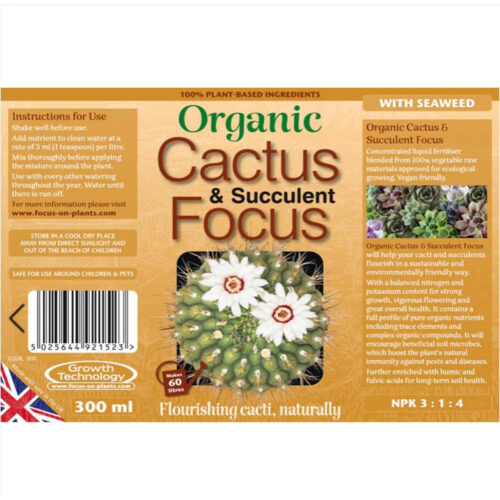 Organic Cactus & Succulent Focus