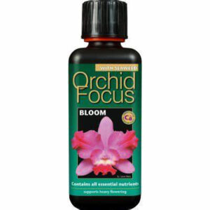 Orkide Focus Bloom 100ml