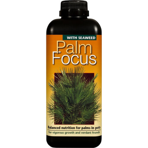 GT Palm Focus gødning