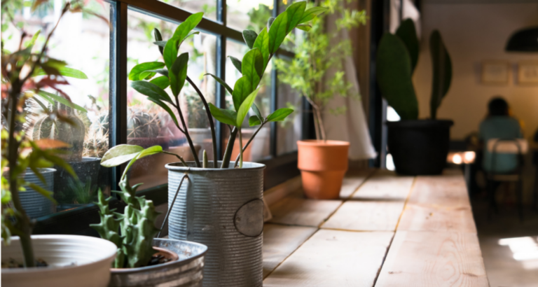 lys til planter i vinduskarmen