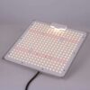 Vækstlys lampe - Quantum Board LED 100Watt