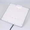 Vækstlys lampe - Quantum Board LED 100Watt