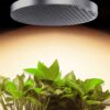 Odlingsljuspanel fullspektrum LED-ljus, rund 40W