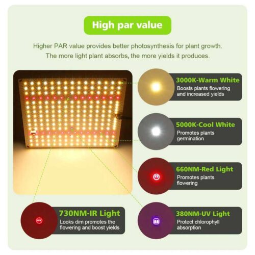Vækstlys lampe - Quantum Board LED 100Watt