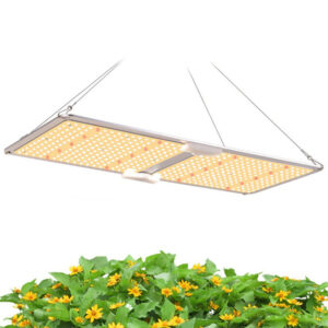 200W Quantum Board, 2,6umol/J, 240*600*60mm