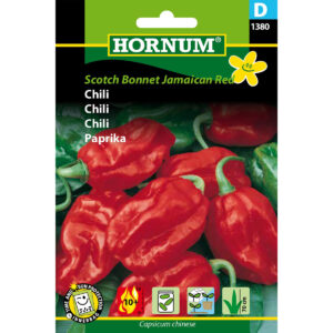 Scotch Bonnet Jamaican Chili