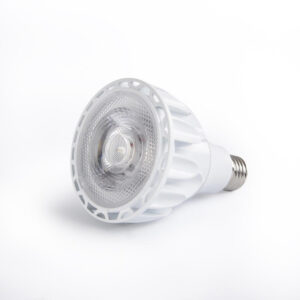 PAR30 Plante Spirelys 6500K, 60gr. 20W