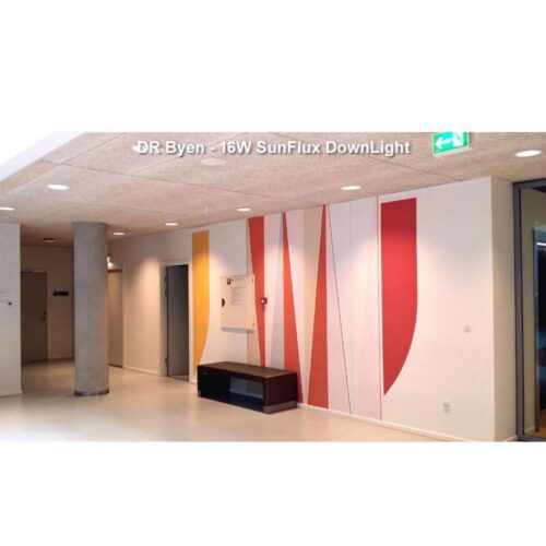 SunFlux LED Downlight