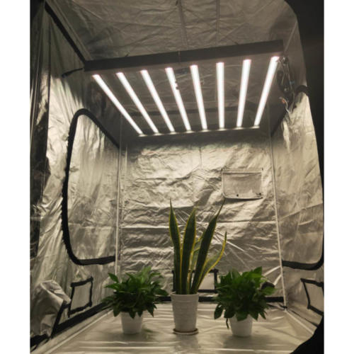 Grolys - SunLight LED grolys