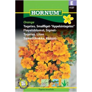 Appelsintagetes -Tagetes smalfliget | Orange, 1137